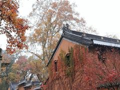 -灵谷景区