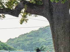 -杭州宋城
