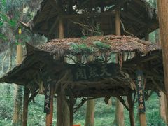 -青城山