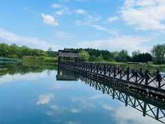 -溱湖国家湿地公园