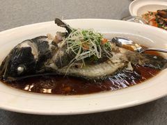 -得丘礼享谷·玉兰苑