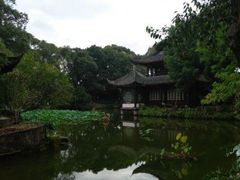 -桂湖森林公园