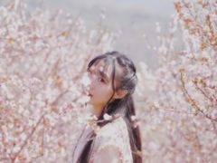 -南京市溧水区傅家边梅花山弄山庄