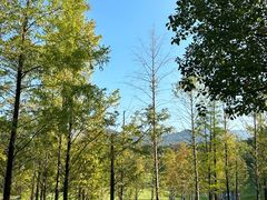 -牛岗山公园