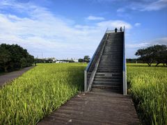 -风云岭森林公园