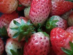 -世纪联华超市(外海店)