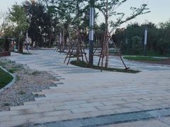 -坛南湾阿强农家乐.海鲜大排档老字号(福州地标美食店)