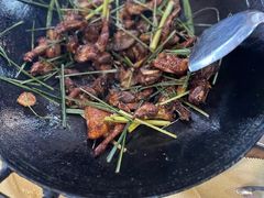 -一煲鸽
