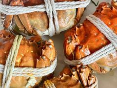 -阳澄湖大闸蟹·琼灵阁牌品牌连锁(吴中总店)