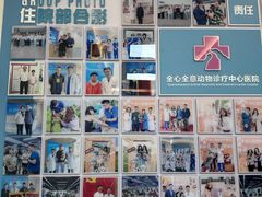 -全心全意动物诊疗中心医院(北苑店)