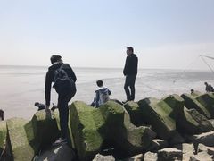 -南汇嘴观海公园