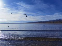 -青海湖国家重点风景名胜区