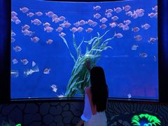 -沈阳海洋探索中心