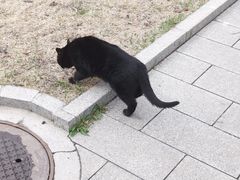 -北京石刻艺术博物馆(五塔寺)