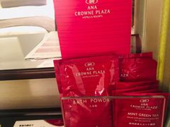 -京都全日空皇冠假日酒店