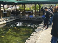 景观位-京北渔家傲