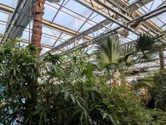 -南宫五洲植物乐园