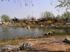 -水西公园