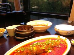 -陈麻婆豆腐总店