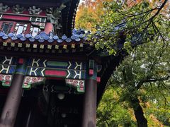 -灵谷景区
