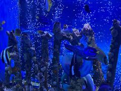 -太平洋海底世界