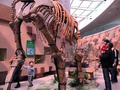 -陕西自然博物馆