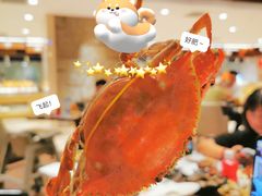 -青岛蓝海御华大饭店（金沙滩店）·蓝钻国际美食自助百汇