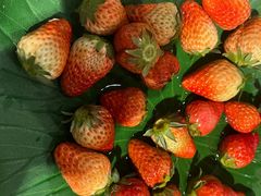 -云海轩·海鲜自助-河北云瑧世纪大饭店1F