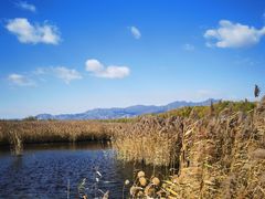 -野鸭湖国家湿地公园