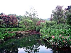 -重庆彩云湖湿地公园