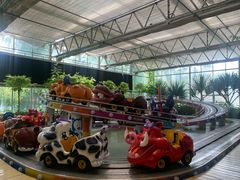 -南宫五洲植物乐园