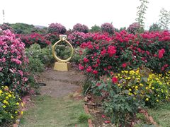 -紫颐香薰山谷景区