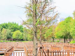 -五缘湾湿地公园