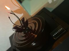 -BLACKSWAN黑天鹅(环球店)