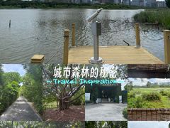 -华侨城湿地公园