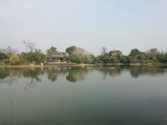 -桃花岛景观公园