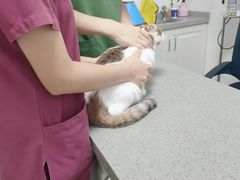 -安安宠医安欣宠物医院
