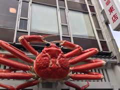 -蟹道乐(道顿堀本店)