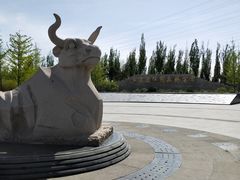 -永定河休闲森林公园