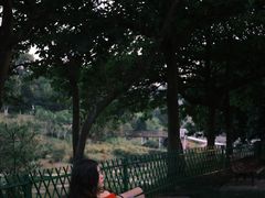 -东莞植物园