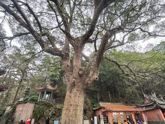 -安溪清水岩