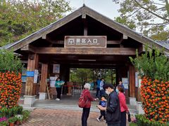 -大湾区中央湿地公园