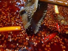 -星鸿社重庆老火锅