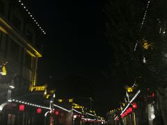 -后柳水乡
