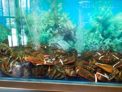 水产区-人杰鱼乐轩(珠江路店)