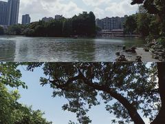 -荔湾湖公园