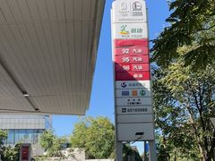 -中国石化丰华加油站