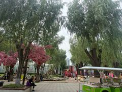 -北戴河集发农业梦想王国