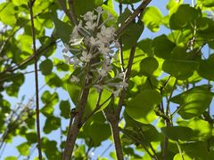 -昆山城市生态森林公园