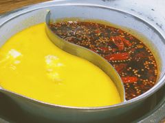 -青瓷火锅料理(西单大悦城店)